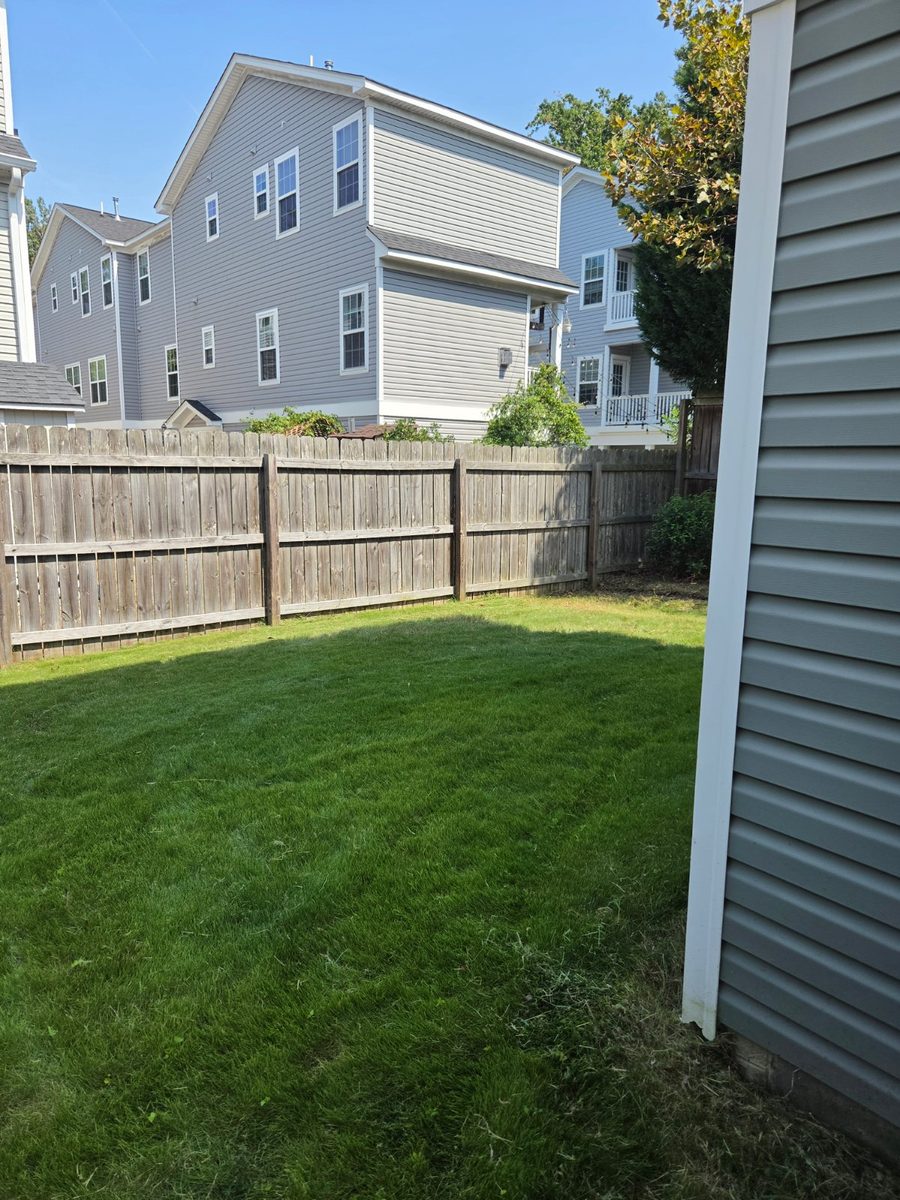 Same side yard after full mow and weed clearing