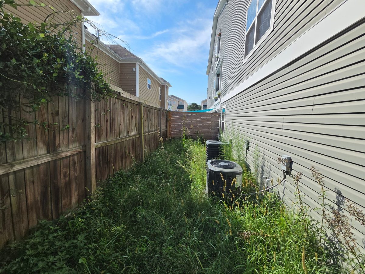 Side yard buried in tall weeds around the AC units before cleanup