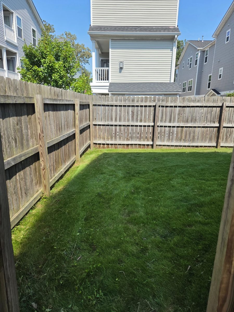 Backyard after full cleanup and mowing