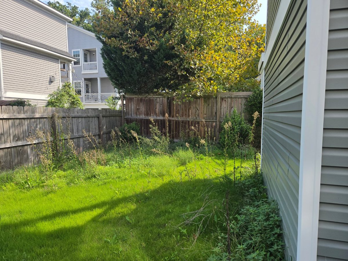 Backyard corner overgrown with weeds and brush before cleanup