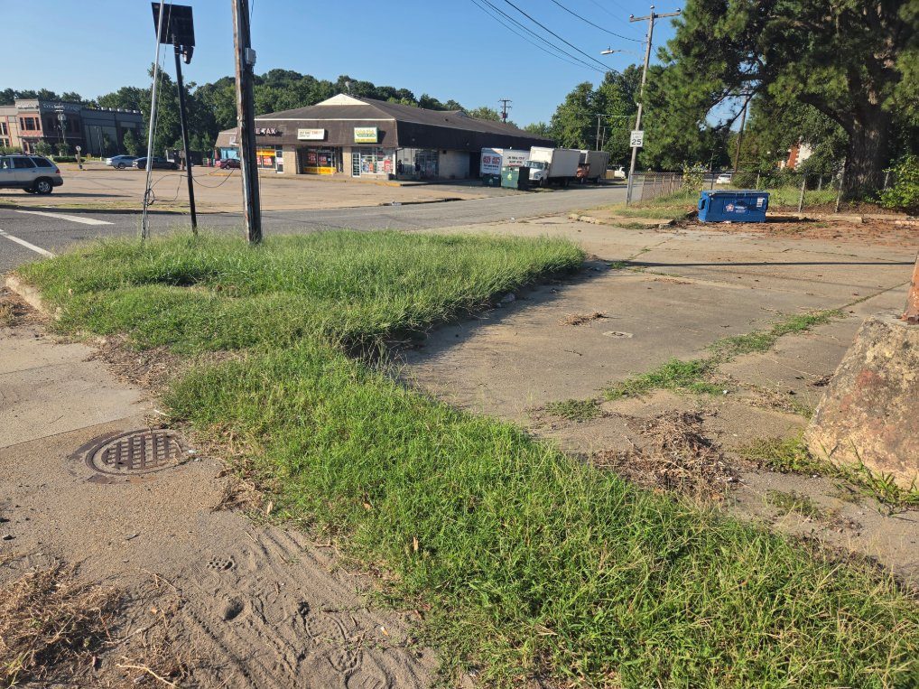 Overgrown grass strip along a commercial lot before mowing