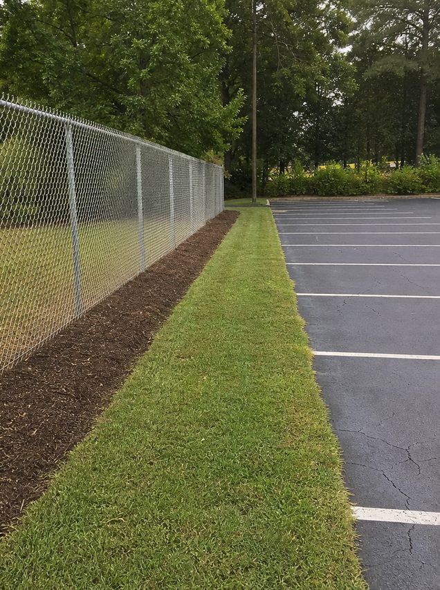 Same fence line after clearing, mulching, and mowing