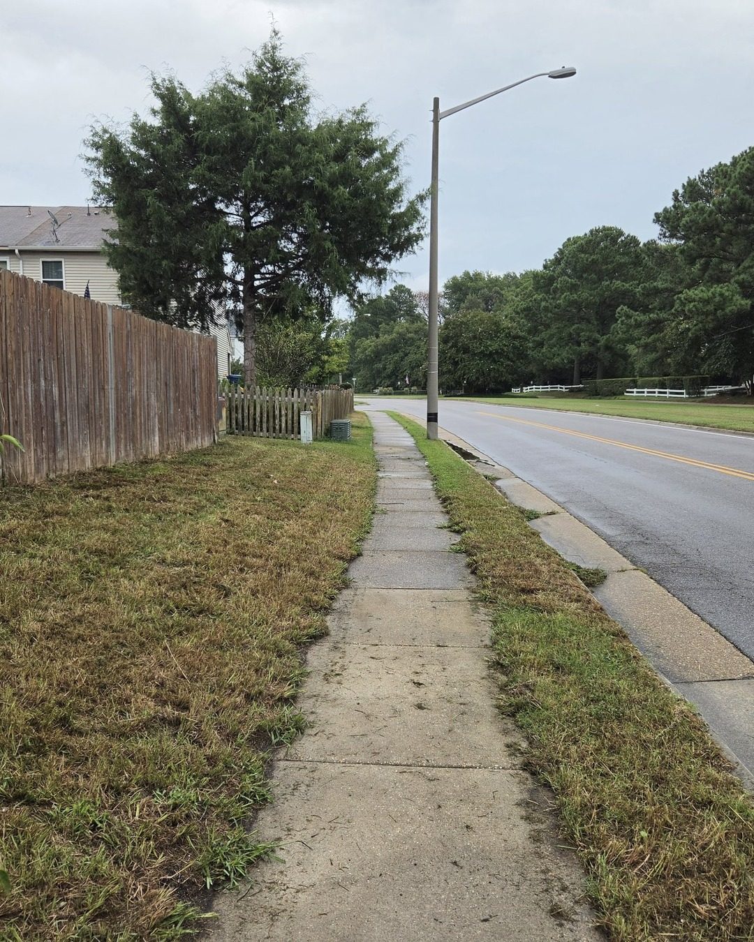 Same sidewalk strip after mowing and cleanup